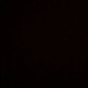 Meet your Posher, Winnie